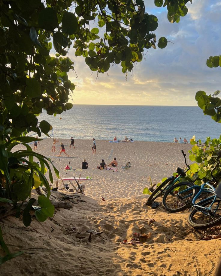 two bikes are parked on the sand near the beach as people play in the water