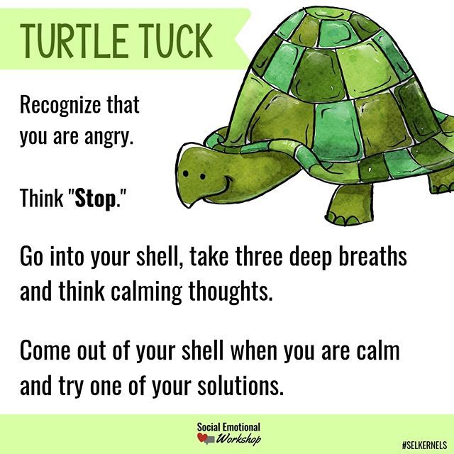 a turtle with the words turtle tuck on it's back and an image of a turtle