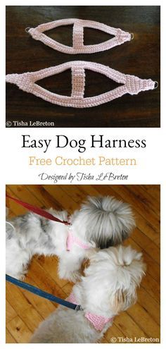 an easy dog harness is shown with the instructions to make it