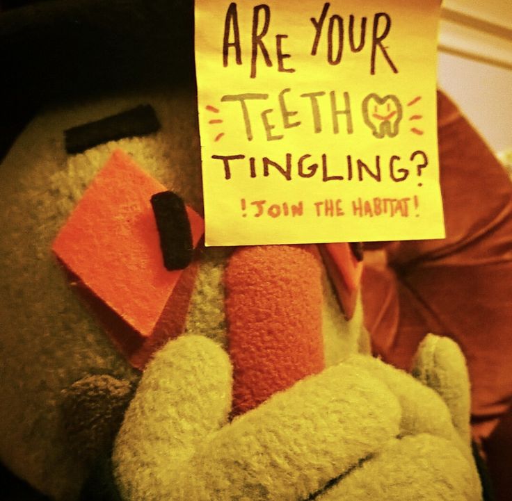 a stuffed animal holding a sign that says are your teeth missing?