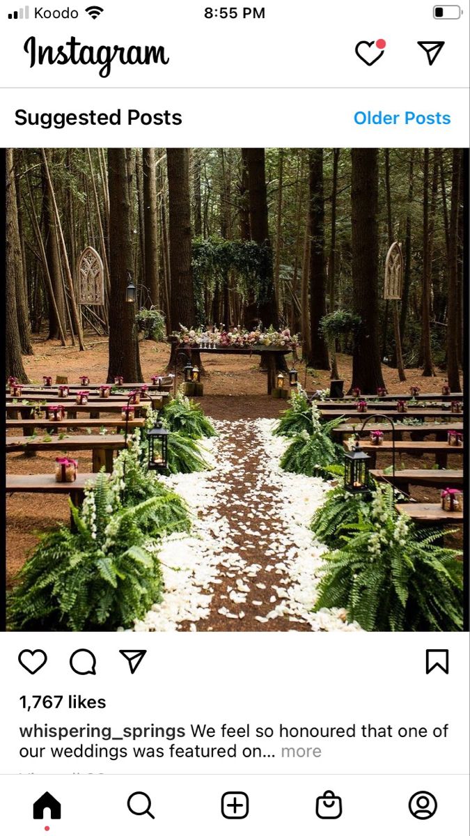 the instagram page on instagram shows an image of a path in the woods