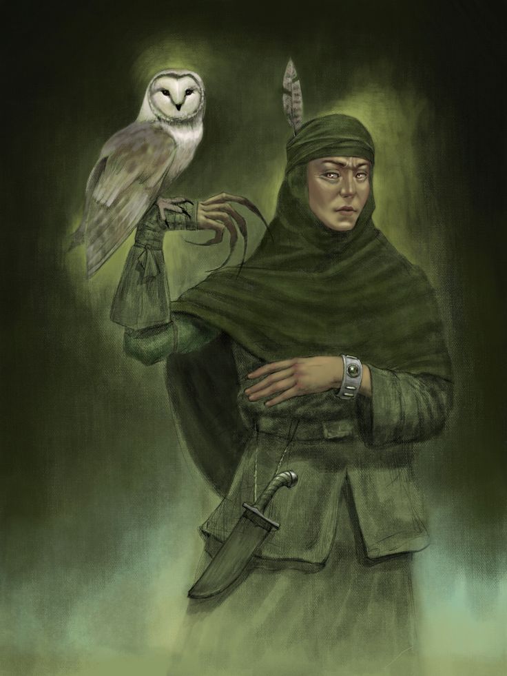 a drawing of a man holding an owl on his arm and wearing a green outfit