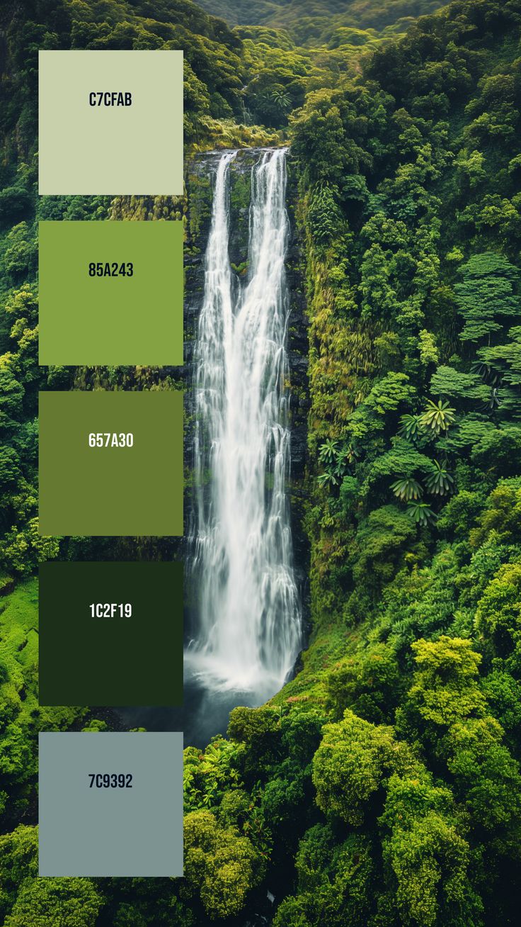 an aerial view of a waterfall in the jungle with green foliage and trees surrounding it