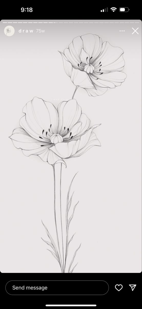 an image of two flowers drawn on a phone screen with the text nacchinti senden