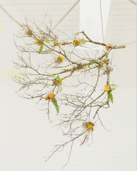 branches with yellow flowers and green leaves hanging from the ceiling in front of a white wall