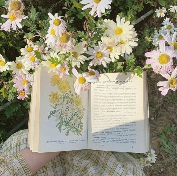 an open book sitting on top of a field of flowers