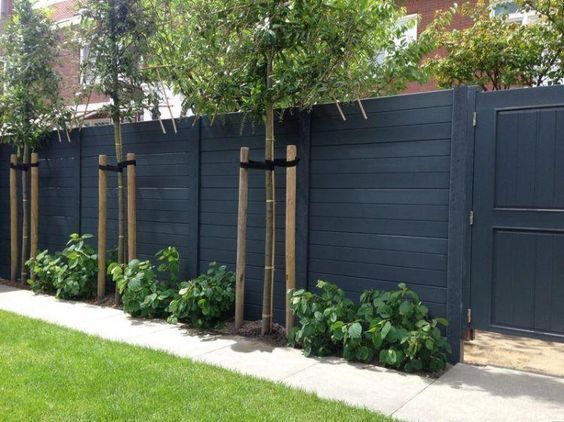 a row of trees next to a fence with plants growing on it in front of the fence