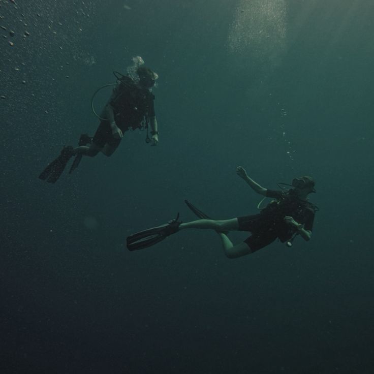 two people are diving in the water