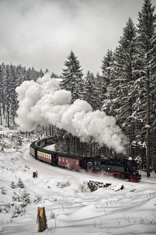 a train traveling through a snow covered forest next to tall pine trees on a cloudy day