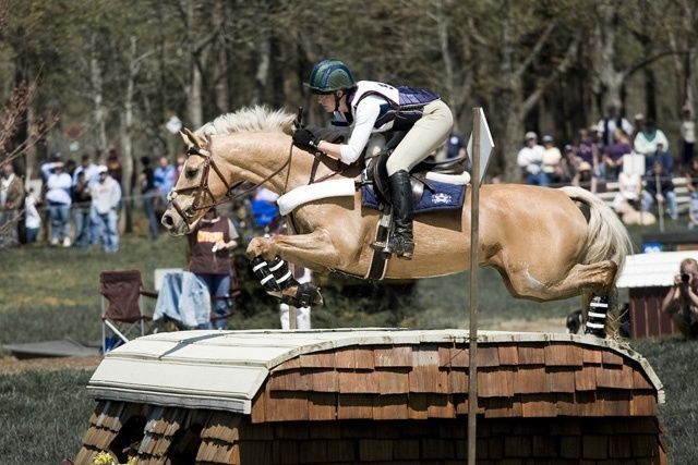 a person jumping a horse over an obstacle in a field with people watching from the stands