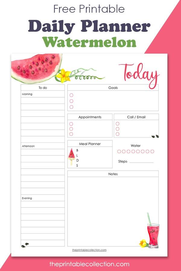 the free printable daily planner for watermelon