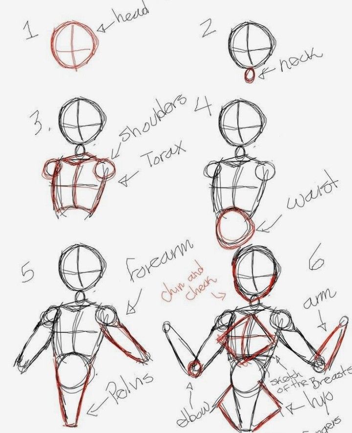 how to draw the human figure in 3 easy steps