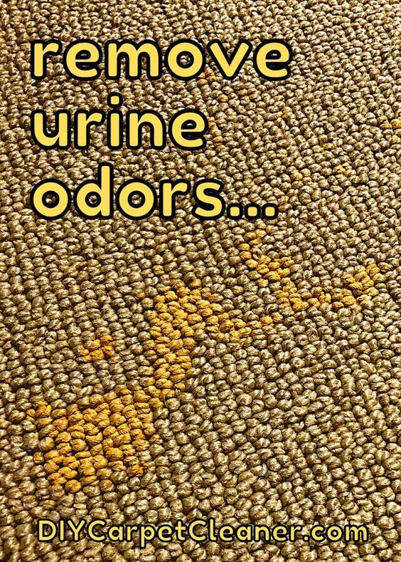 the words remove urine odors are written in yellow and black on a tan carpet