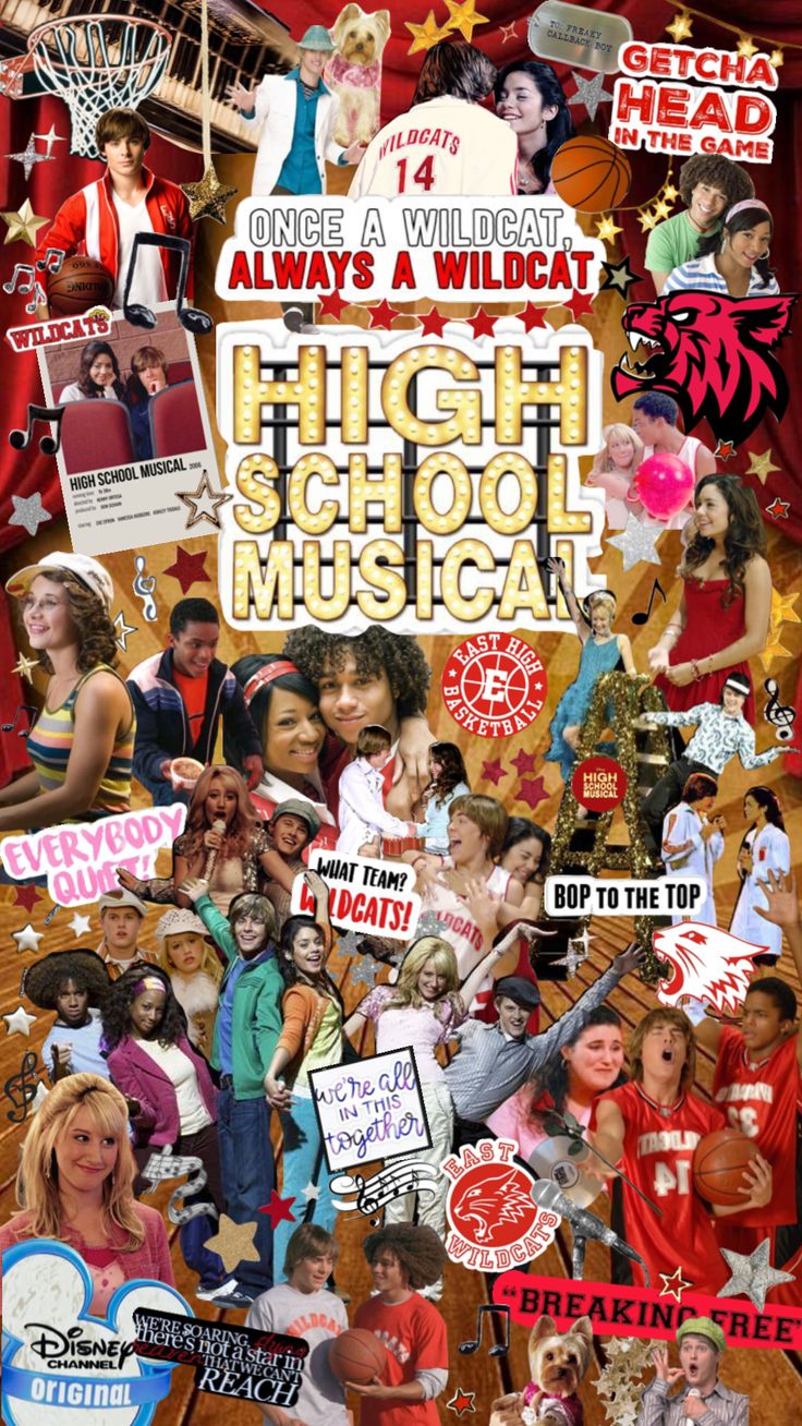 the poster for high school musical shows many different people and their names in red, white,