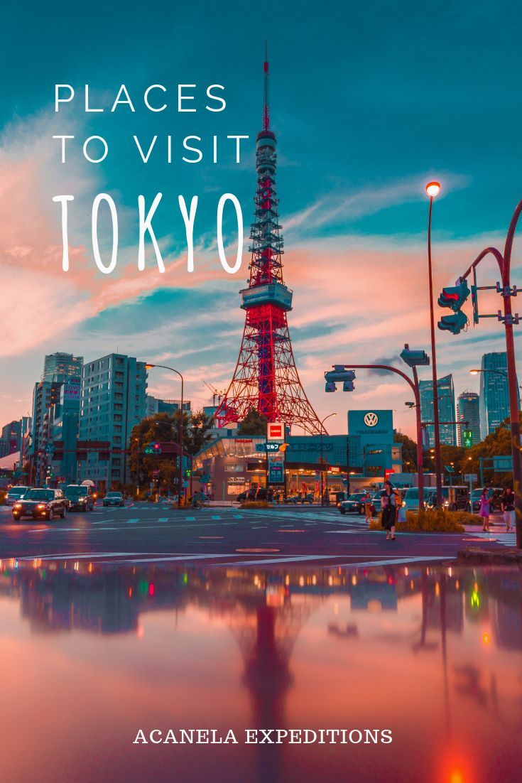 the eiffel tower in tokyo with text overlay that reads best hotels tokyo for backpackers