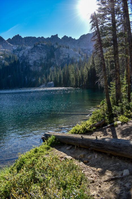 the sun shines brightly over a lake surrounded by mountains and pine trees in the foreground