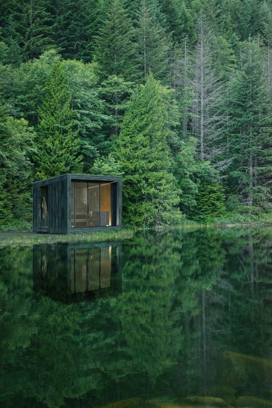 a small cabin sitting on top of a lake in the middle of a green forest