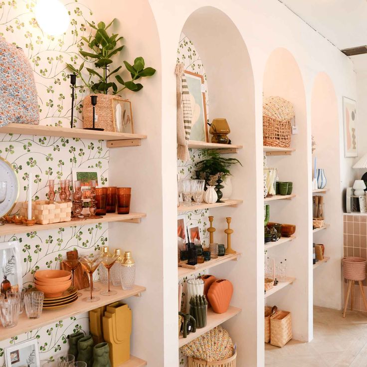 a room with shelves filled with lots of different types of items and plants on them