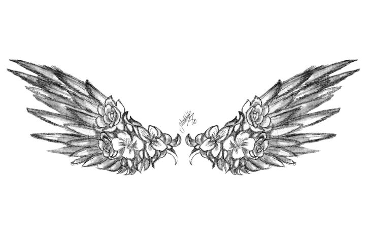 two wings with flowers on them are drawn in black and white ink by artist mark taylor