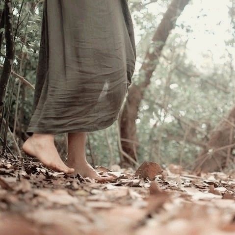 a person standing in the woods with their feet up on some leaves and looking at something