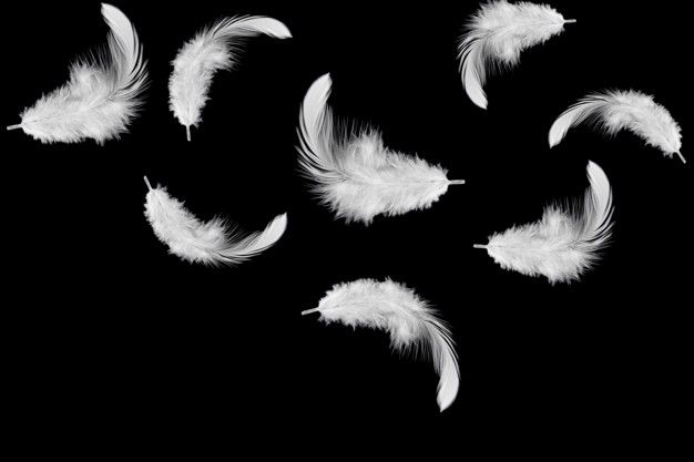 six white feathers flying in the air