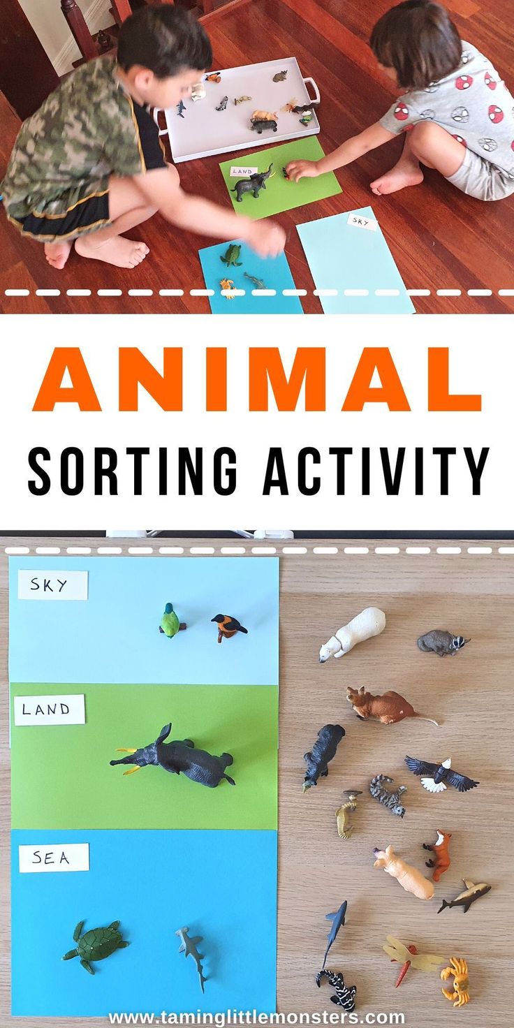 an animal sorting activity for toddlers to do with the animals in their house and on the floor