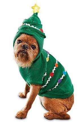 a small dog wearing a green christmas sweater