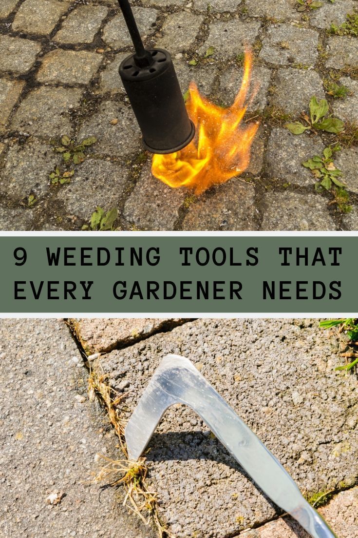 a garden tool on fire with the words 9 wedding tools that every gardener needs