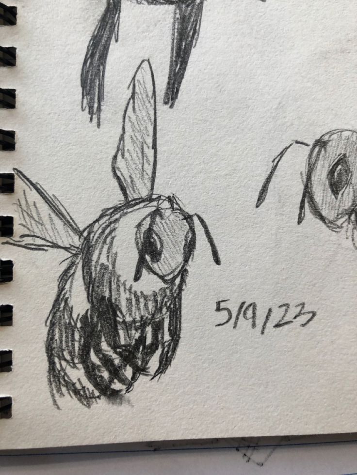 a drawing of two bees with faces drawn in pencil on top of a piece of paper