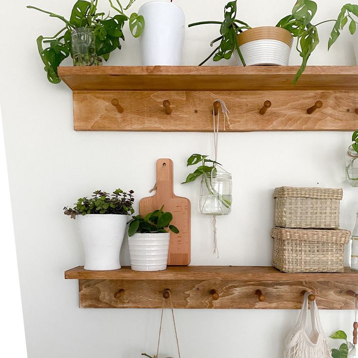 several potted plants are on wooden shelves