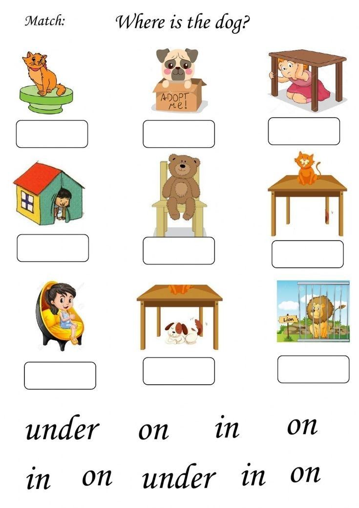 a worksheet with pictures of animals and words