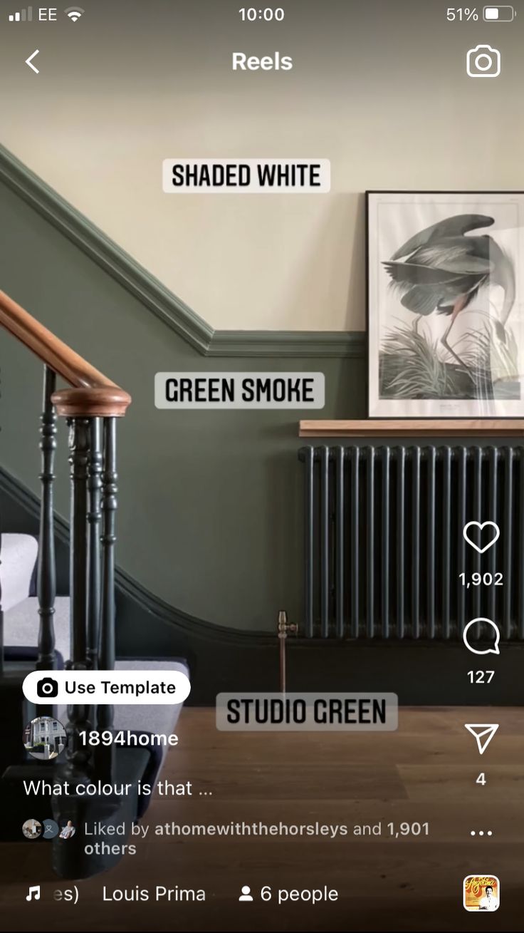 Green And White Staircase, Green Stair Panelling, Panelled Hallway Colour Ideas, Staircase Dado Rail, Hall And Stairs Colour Ideas, Sage Green And Black Hallway, Sage Green Stairway, Landing And Hallway Colour Ideas, Green Hallways And Stairs