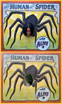 two pictures of a giant spider with the caption'human spider alive'on it