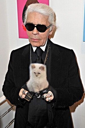 an old man in a suit and sunglasses holding a small white cat with black glasses