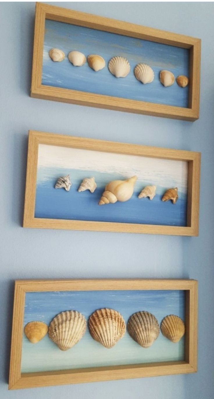 three framed pictures with seashells in them on the wall next to each other