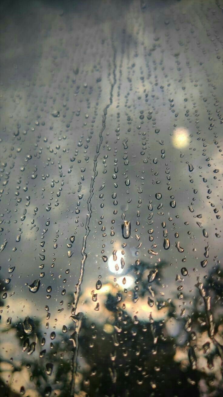 rain drops on the windshield of a car