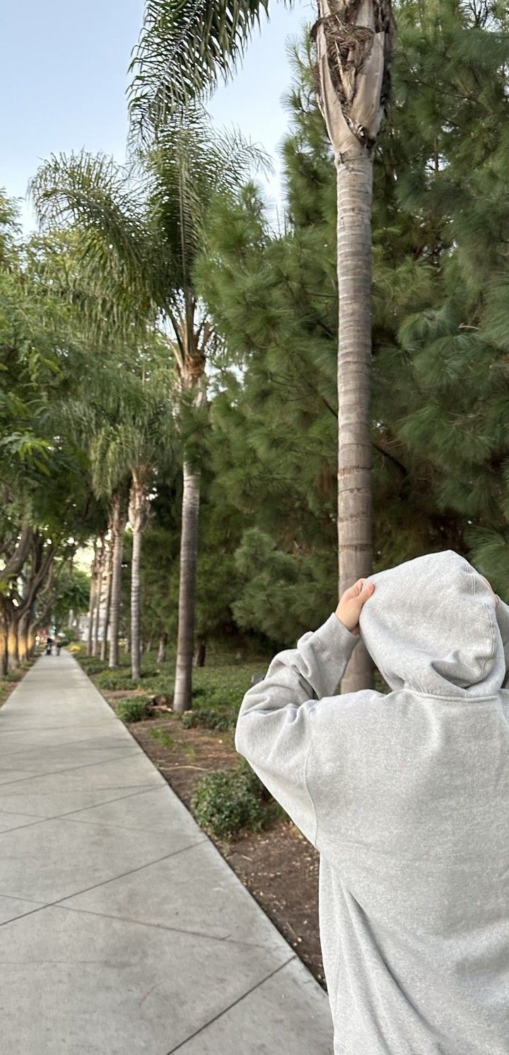 a person wearing a hoodie is looking up at a palm tree