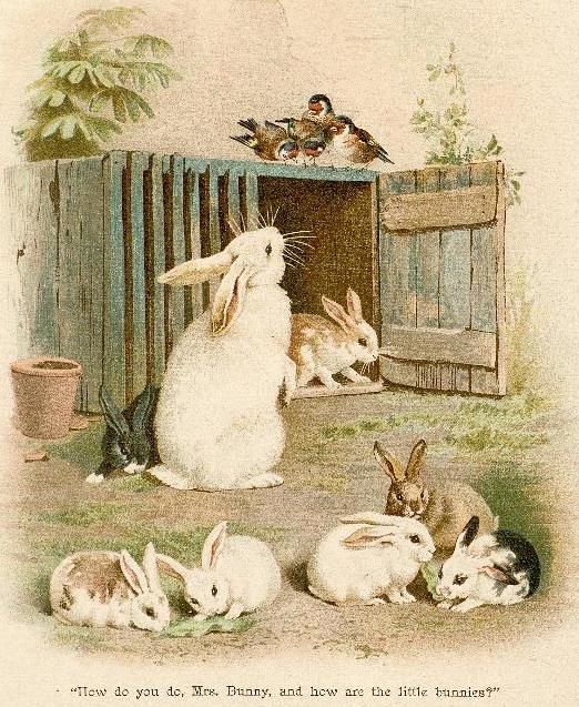 some rabbits are sitting in front of a wooden fence and looking at the camera man