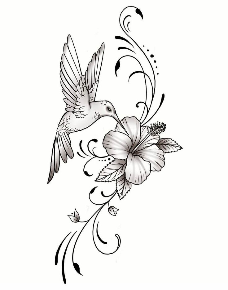 a hummingbird flying with flowers on it's back