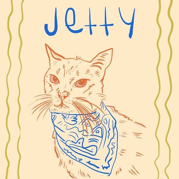 a drawing of a cat with a scarf around it's neck and the words jelly written in blue ink