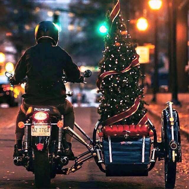 a person riding a motorcycle with a christmas tree on the back and a side car