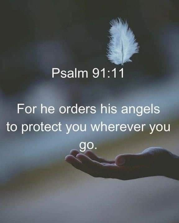 a hand holding a white feather with the words, person 11 11 for he orders his angels to protect you wherever you go