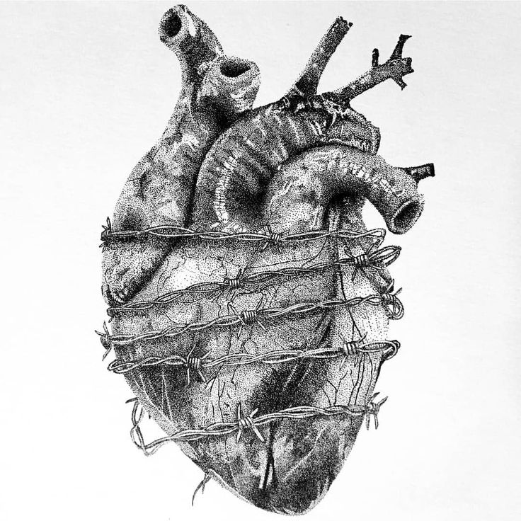 a drawing of a human heart with barbed wire