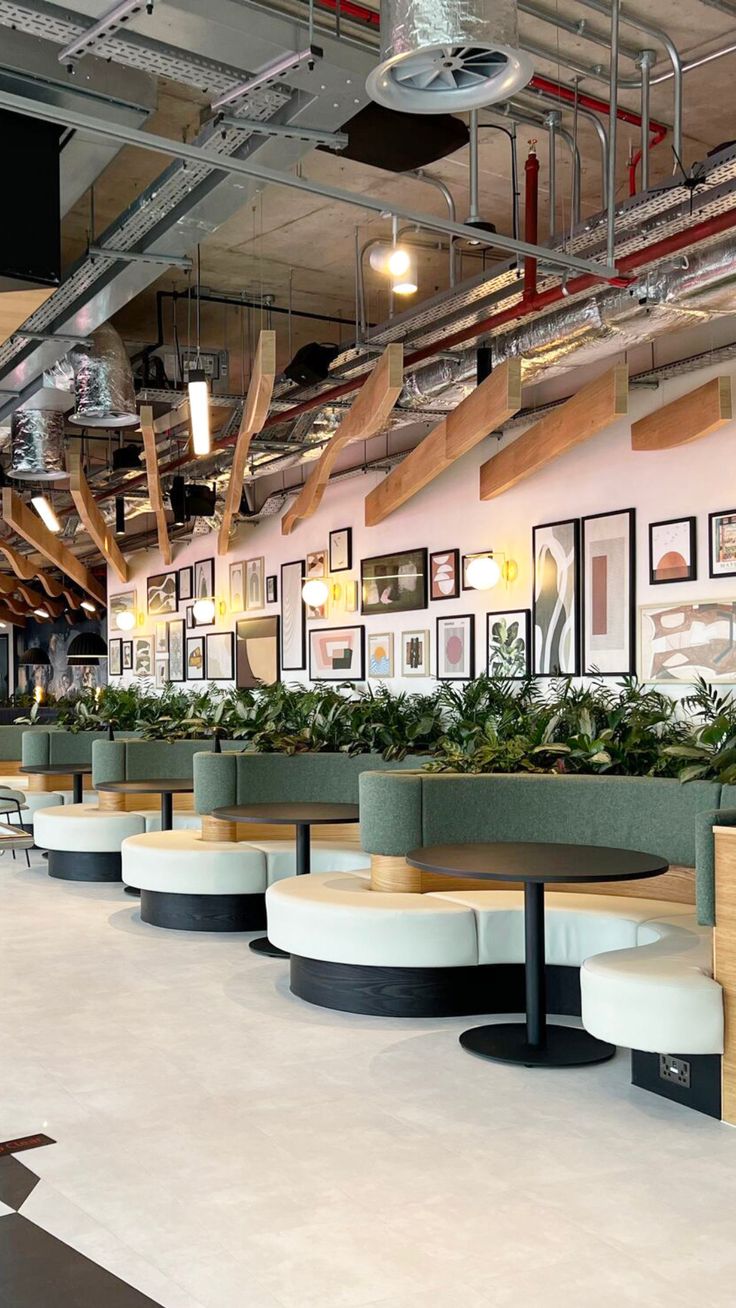 Beautiful planting within restaurant seating and floor standing Ficus and Kentias Restaurant Booth Seating Ideas, Booth Restaurant Design, Lounge Seating Restaurant, Restaurant Acoustics, Booth Seating Design, Seating Booth, Built In Booth, Biophilic Office, Banquette Seating Restaurant