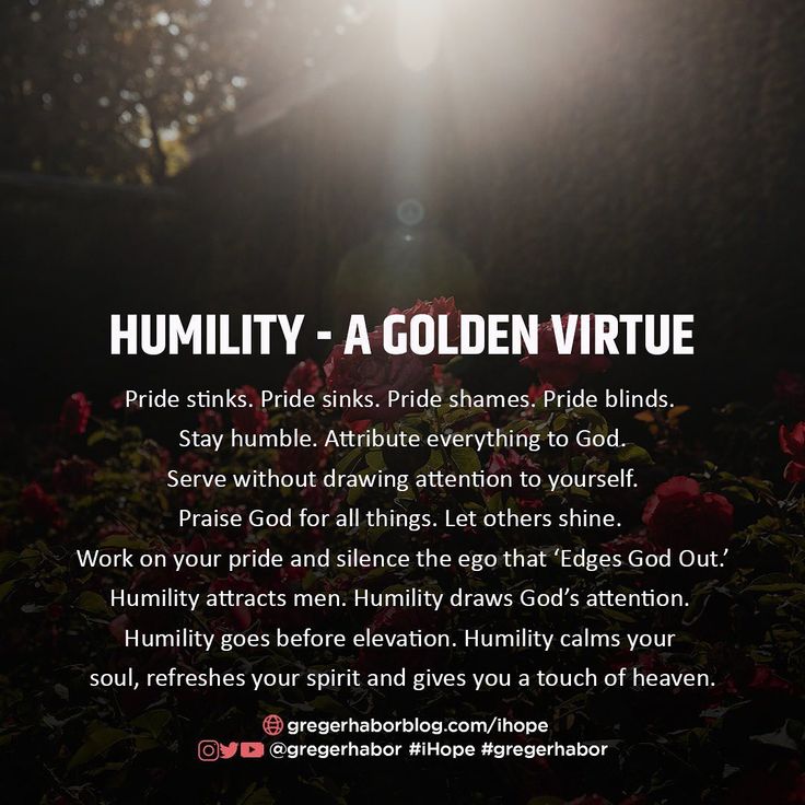 the words humility - a golden virtue are in front of some flowers