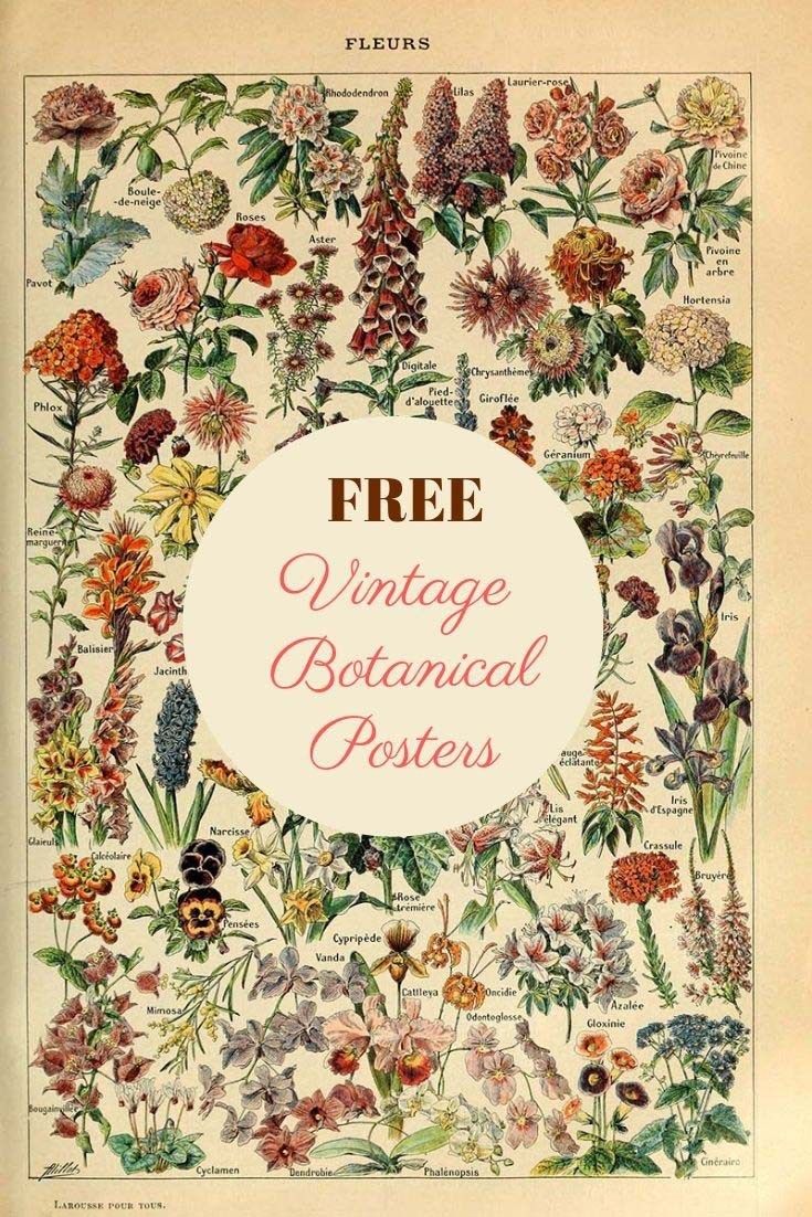 an old book with flowers on it and the words free vintage botanical posters written below