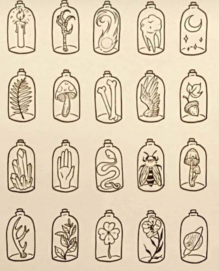 an image of bottles with plants and animals in them drawn on the side of a sheet of paper