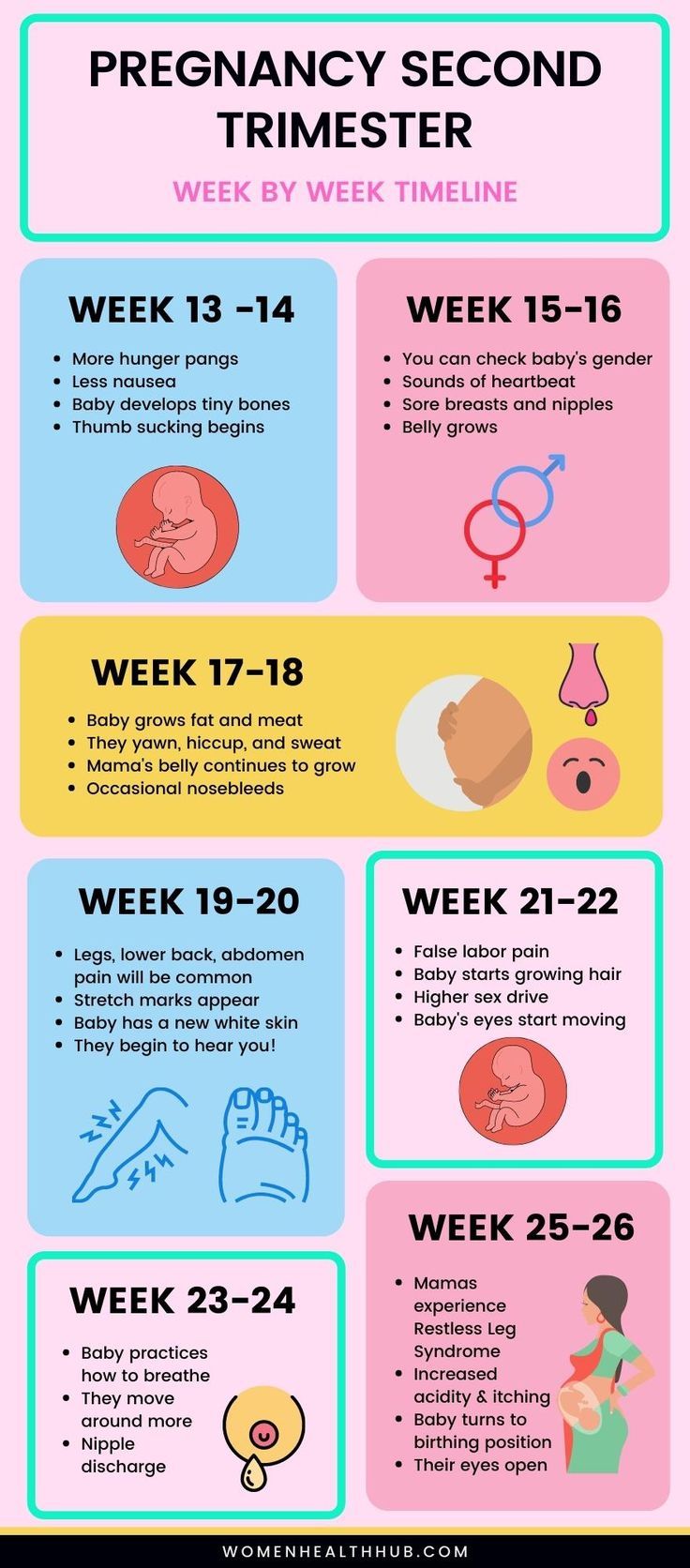 a poster showing the different stages of breasting and how to use it in order to get pregnant