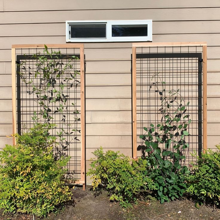 a couple of plants that are next to a building with a air conditioner on it