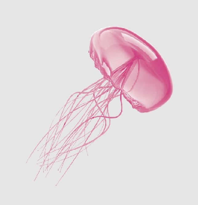 a pink jellyfish floating in the air